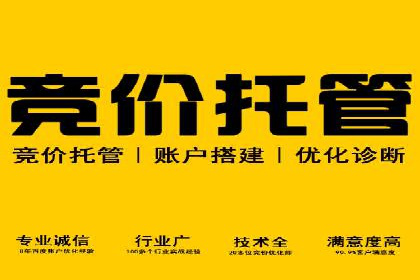行业领先企业的SEM实战经验分享